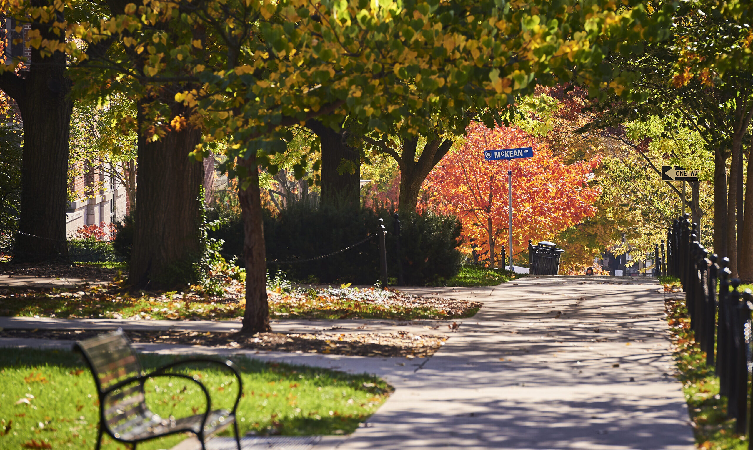 Sidewalk and bench in State College